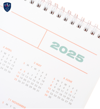 image 2025 02 19 130107236